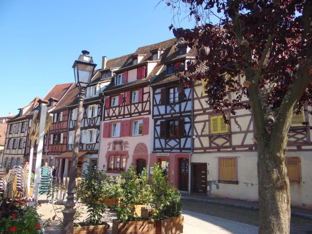 Au Coeur Des Vignes Apartment Bergheim Exterior foto